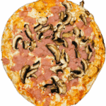 ROMANA PET.