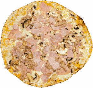 MEDITERRANIA MIT.