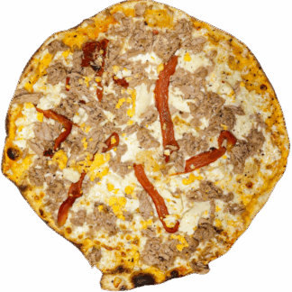 XIOTONNA